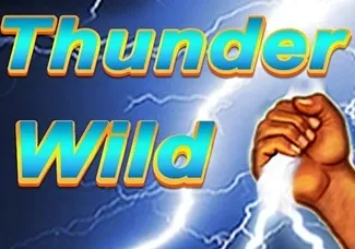 Thunder Wild icon